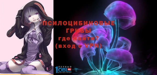 ешки Бугульма