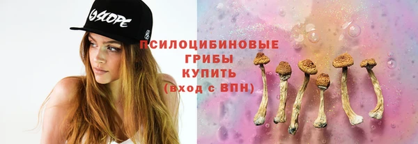 дживик Ветлуга