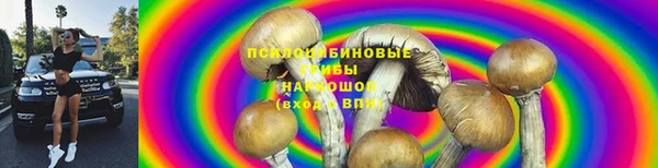 герыч Бронницы