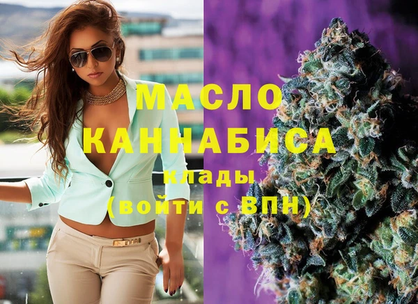 тгк Бородино