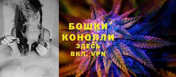 тгк Бородино