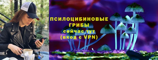 тгк Бородино
